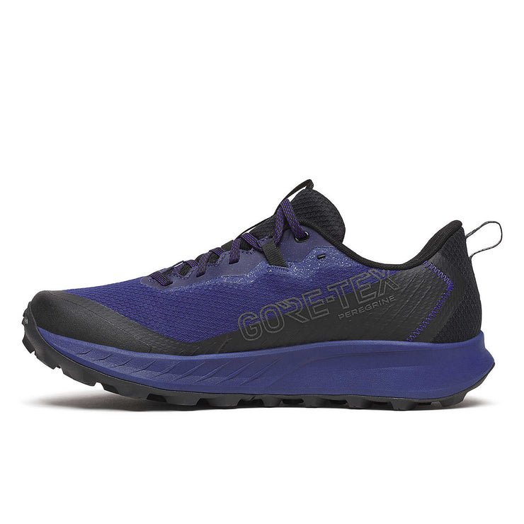 Saucony Peregrine 15 GTX - Homme